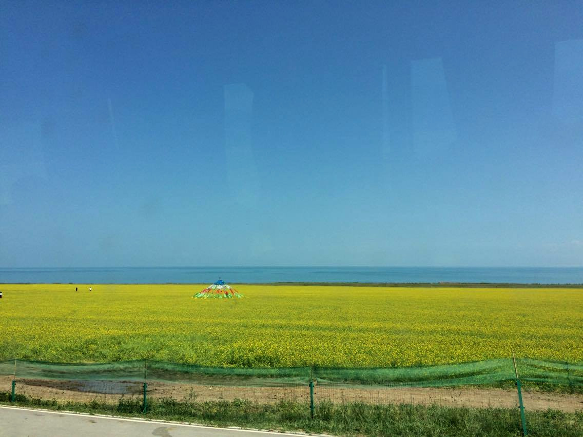 1-14087350_10155359450639657_1912012459_o