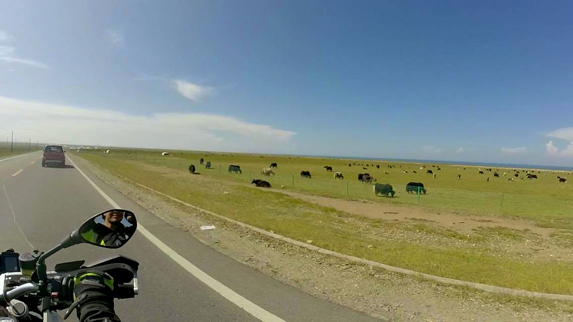 1-14139317_10155359449014657_1884324156_o